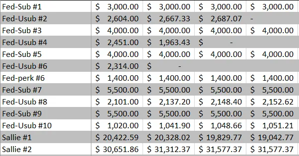 A spreadsheet of thirteen loans — eleven federal, labelled Fed-Sub and Fed-Usub #1 to #10 plus a Perkins, and two private Sallie Mae loans — with four columns of balances recorded at different dates. Several federal balances drop to a dash as they clear. The two Sallie Mae loans, at roughly $20,000 and $31,000, dominate the list.